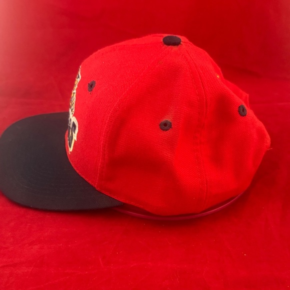 Florida Panthers Logo7 cap. - Picture 3 of 10